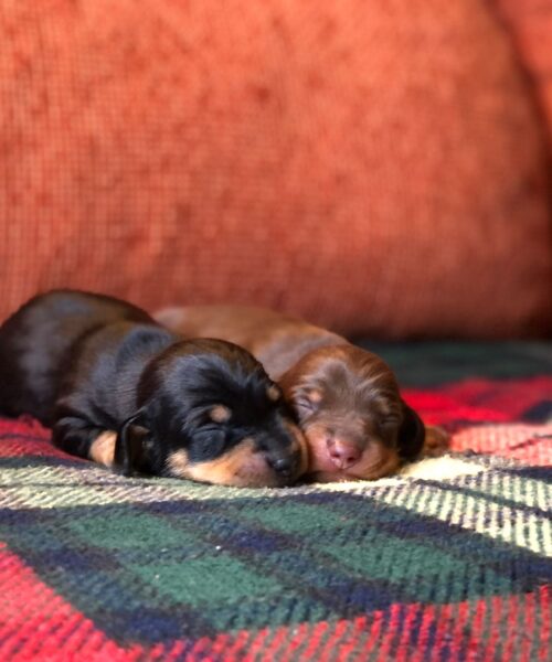 Imagen de WhatsApp 2024-07-15 a las 06.25.24_fdd89168